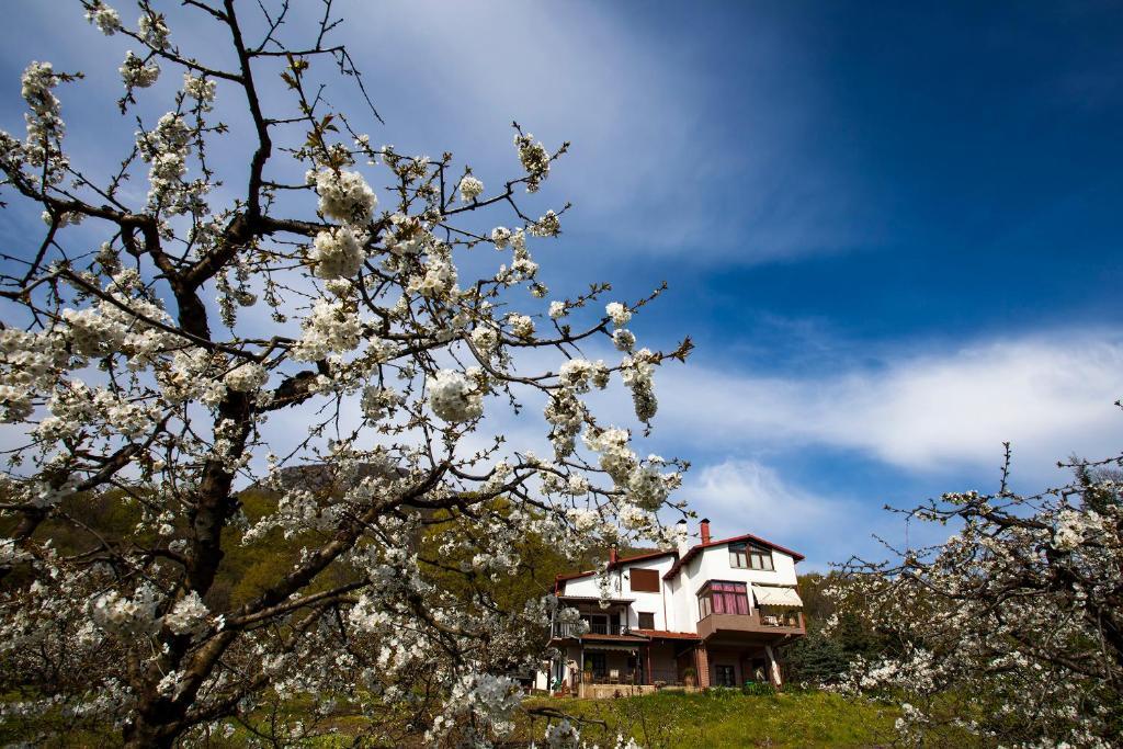 Militsa Guesthouse Naousa  Exterior photo